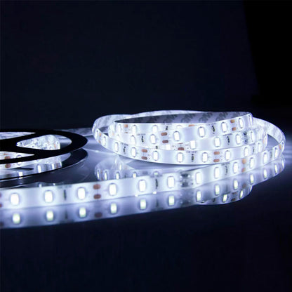 CINTA LED 12V 5 METROS LUZ FRIA LH-2300