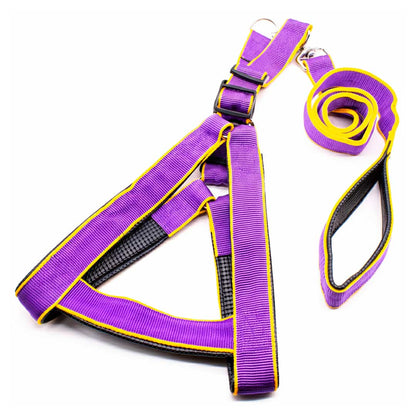 PRETAL REFORZADO 4CM C/CORREA LH-1563