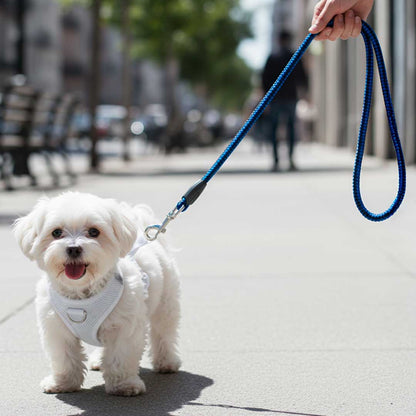 CORREA 1.20 MTS 12MM DE PASEO PARA PERRO LH-1565