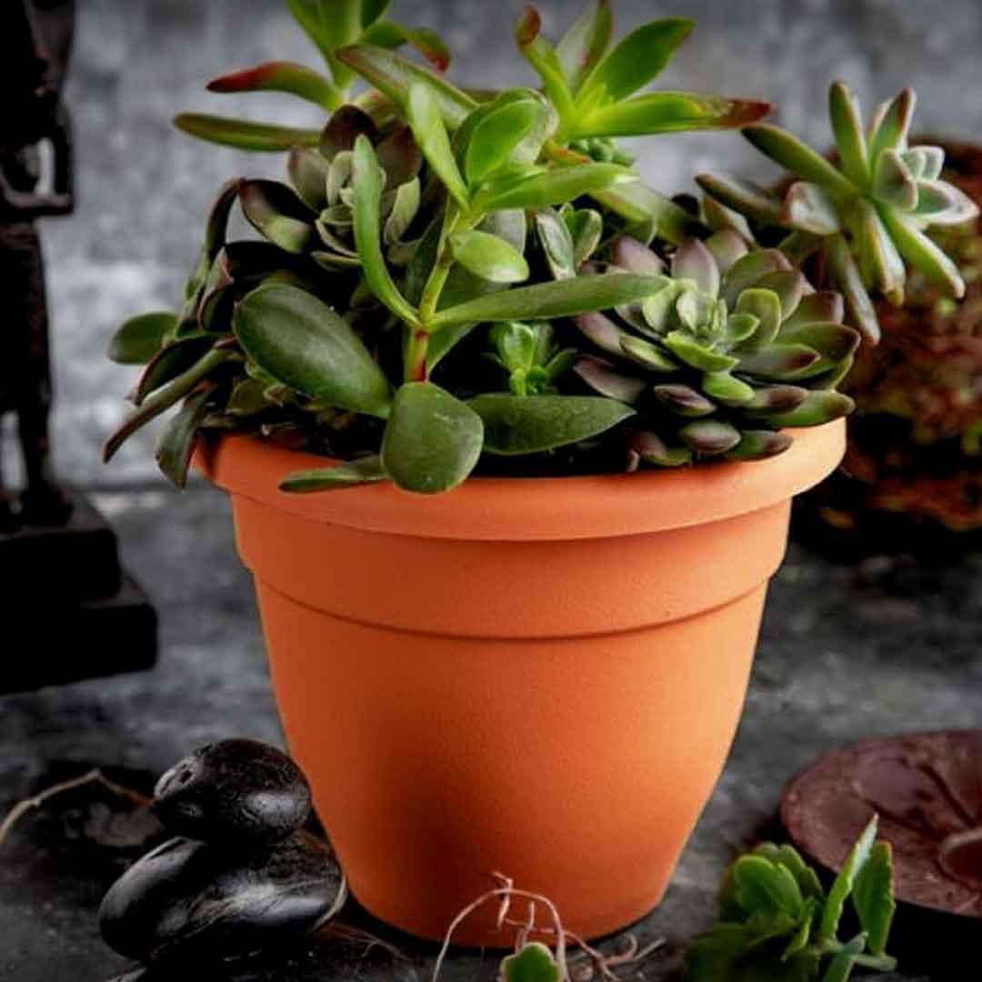 MACETA PARA PLANTA 35CM PLASTICA TERRACOTA 51