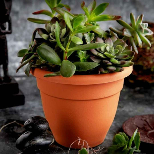 MACETA PARA PLANTA 35CM PLASTICA TERRACOTA 51
