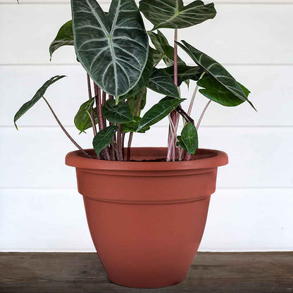 MACETA PARA PLANTA 35CM PLASTICA TERRACOTA 51