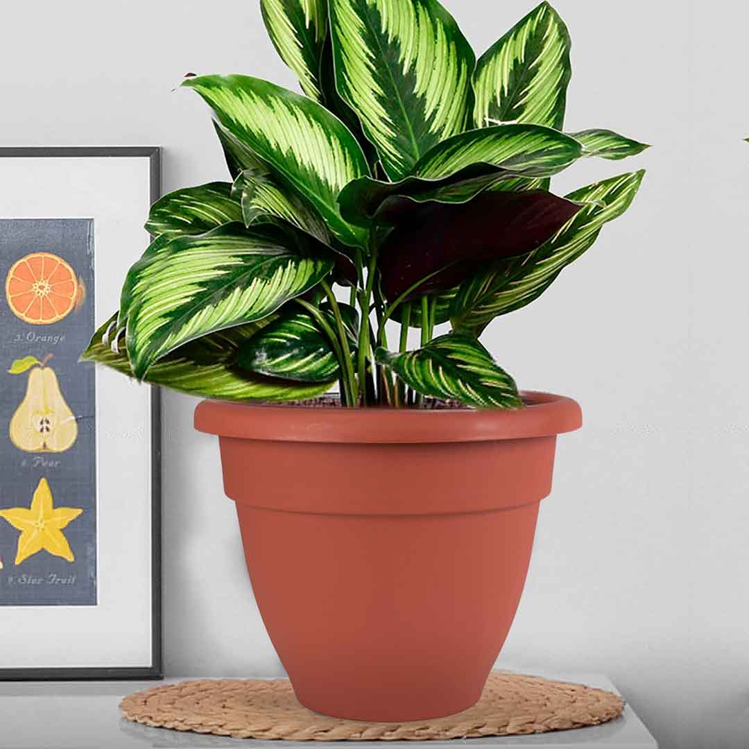 MACETA PARA PLANTA 35CM PLASTICA TERRACOTA 51