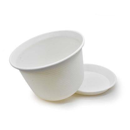 MACETA PLASTICA 17CM COLORES SURTIDO 7904