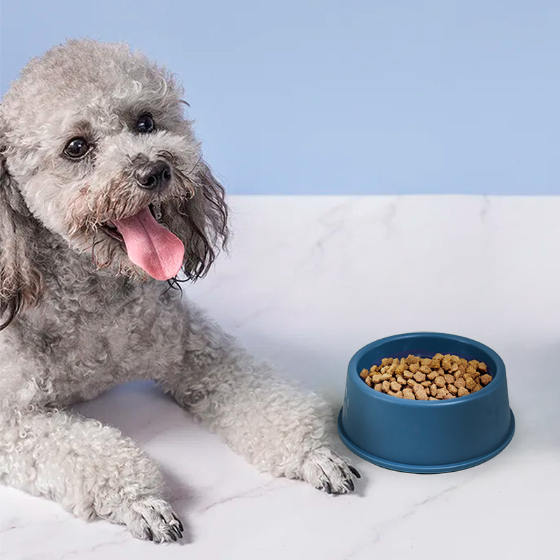 PLATO PLASTICO PARA MASCOTA 13CM LH-3363
