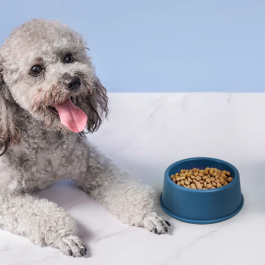 PLATO PLASTICO PARA MASCOTA 13CM LH-3363