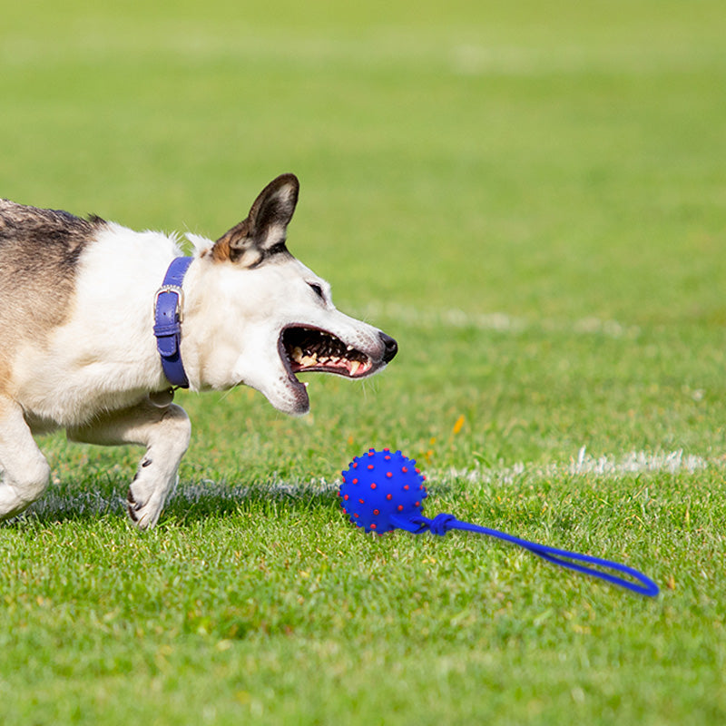 PELOTA GOMA CON SONIDO Y CUERDA P/MASCOTA LH-3337