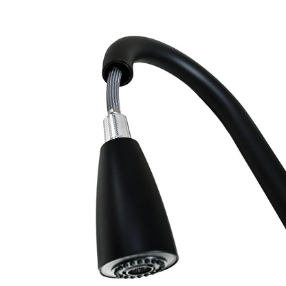 GRIFO NEGRO ALTO CON EXTENSION ITALOMIX LH-3313