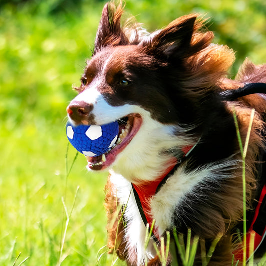 PELOTA DE GOMA TIPO FUTBOL PARA MASCOTAS LH-3355