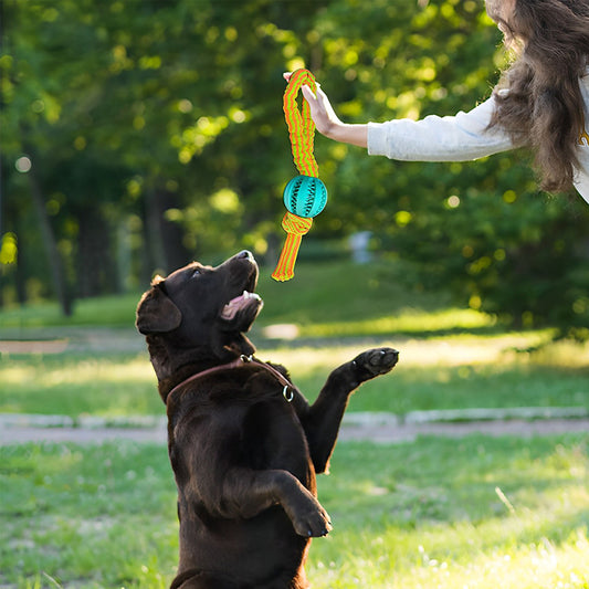 PELOTA CON CUERDA EXTENSIBLE PARA MASCOTAS LH-3344
