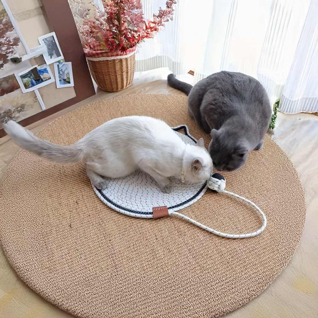 ALFOMBRA RASCADORA PARA GATOS LH-3970