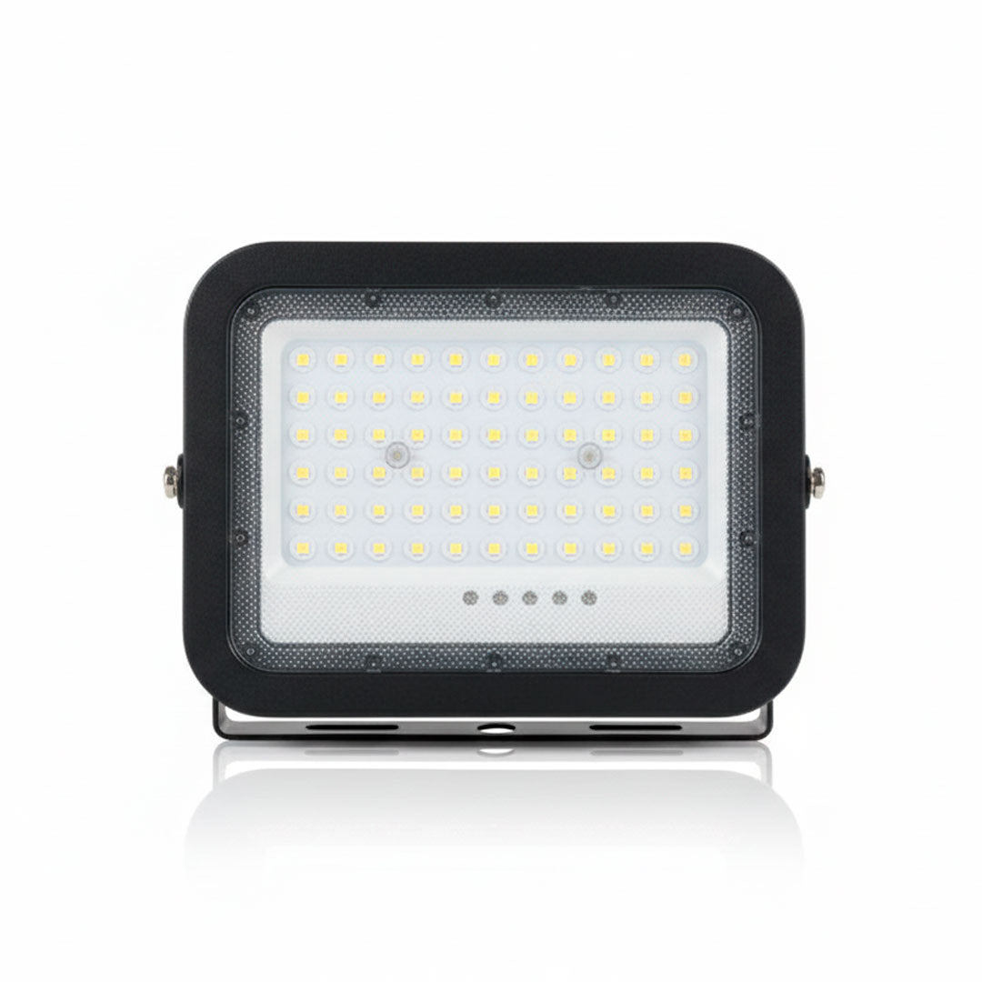 FOCO 100W SOLAR C/PANEL LUZ FRIA LED LIFE LH-3955