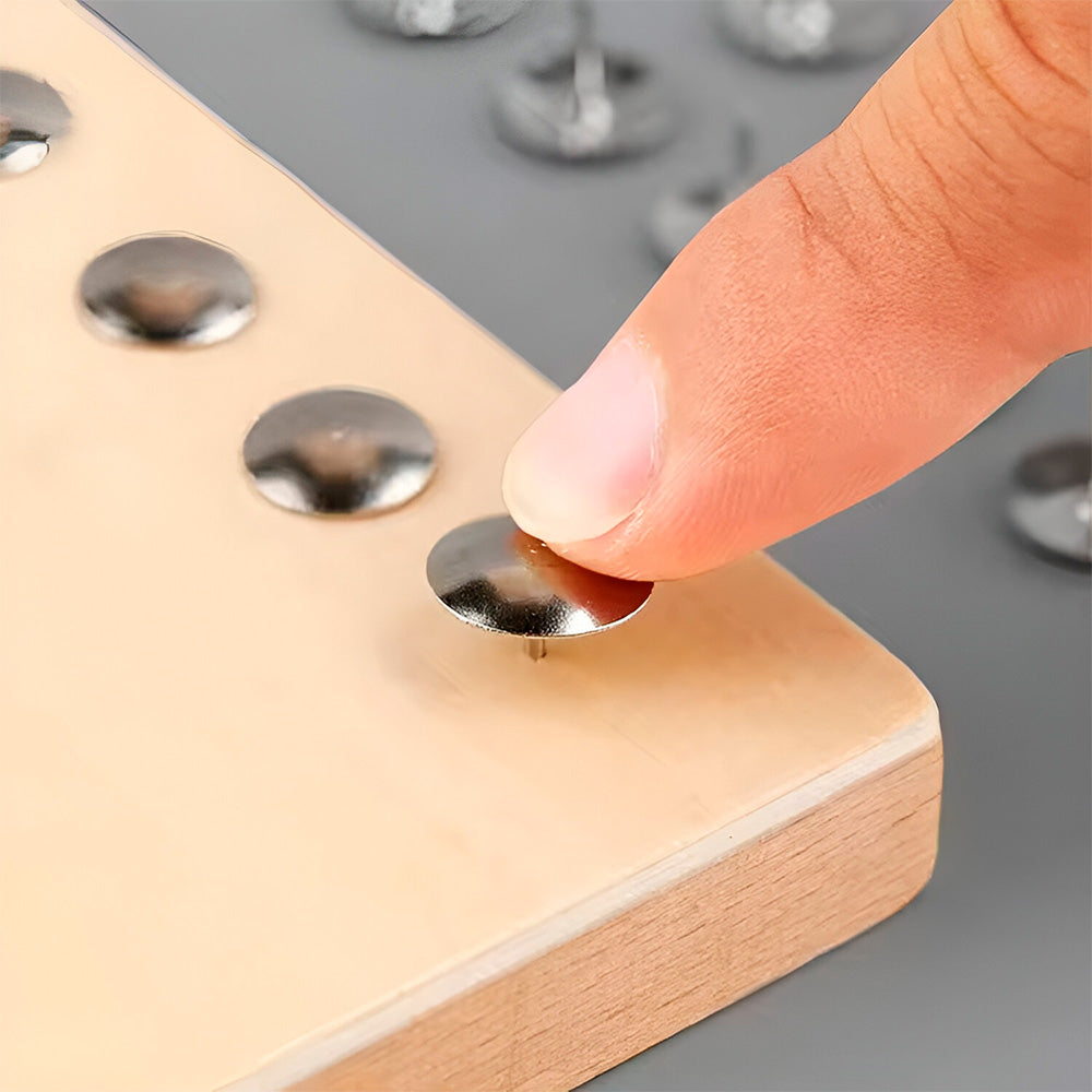 CHINCHE 100 UNIDADES EN BLISTERS LH-1861