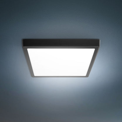 PLAFON LED 24W CUADRA LUZ FRIA ARO NEGRO LH4406