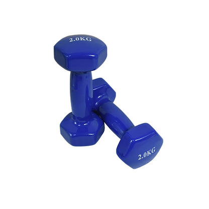 JUEGO DE PESAS 12KG EN ESTUCHE (3K/2K/1K) LH-4939