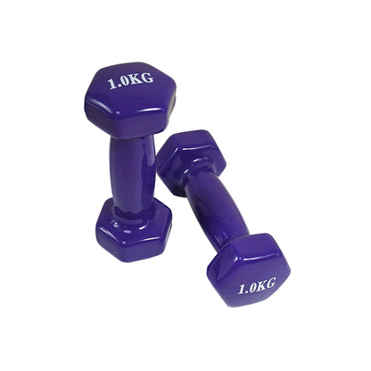 JUEGO DE PESAS 12KG EN ESTUCHE (3K/2K/1K) LH-4939