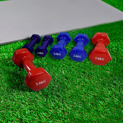 JUEGO DE PESAS 12KG EN ESTUCHE (3K/2K/1K) LH-4939
