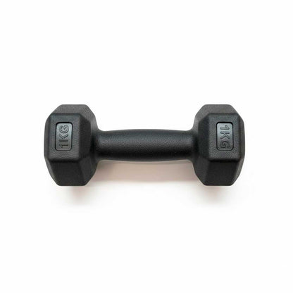 PESA 1 KILO LH-4942