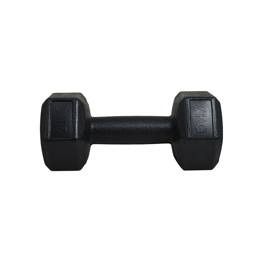 PESA 2 KILOS LH-4946
