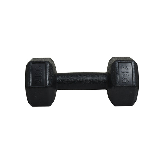 PESA 2 KILOS LH-4946