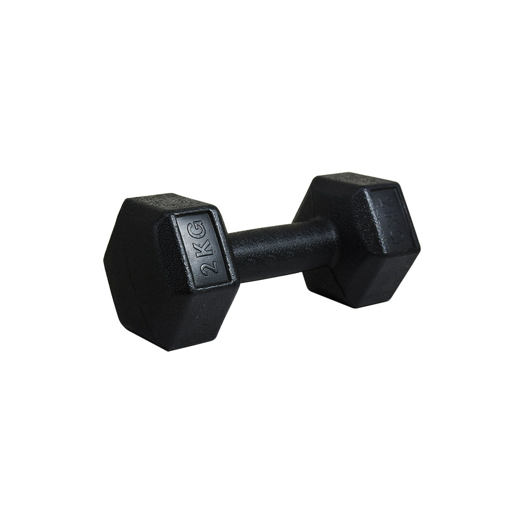 PESA 2 KILOS LH-4946