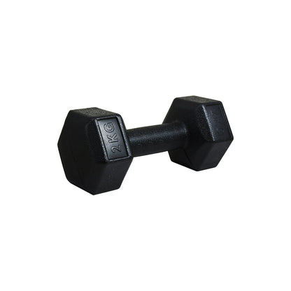 PESA 2 KILOS LH-4946