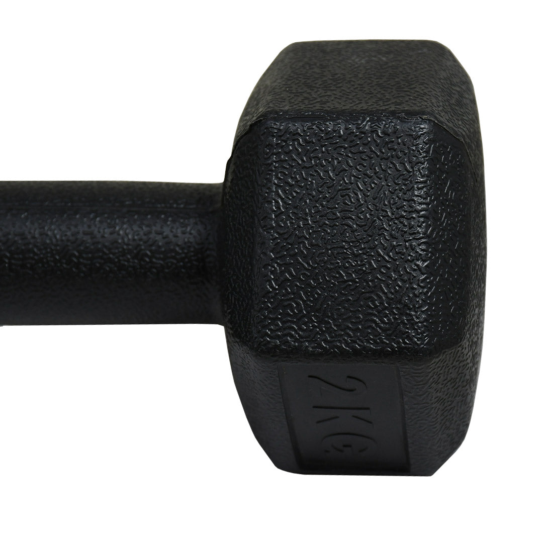 PESA 2 KILOS LH-4946