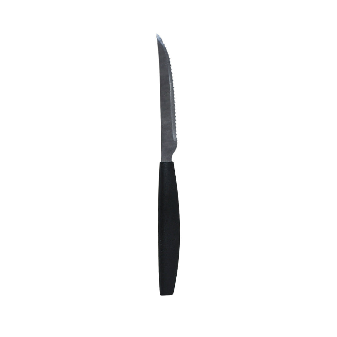 JUEGO DE CUBIERTOS 24PZ MANGO PLASTICO LH-4609