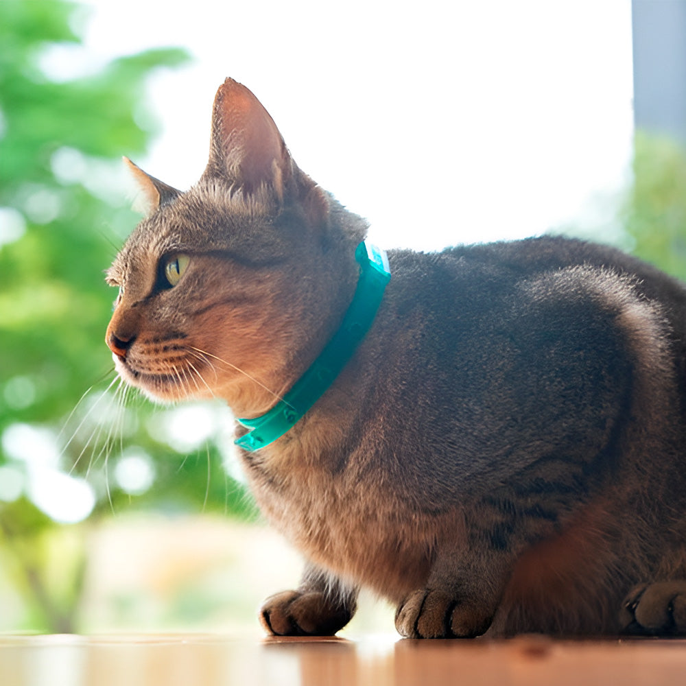 COLLAR REPELENTE NATURAL GATOS DENUCIO 2332