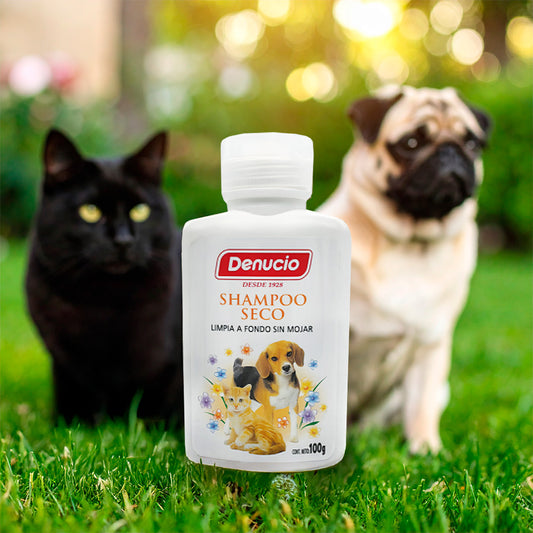 SHAMPOO SECO 100 GR DENUCIO