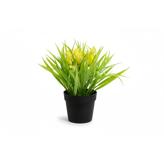 ADORNO PLANTA C/FLORES COLORES VARIOS FY053