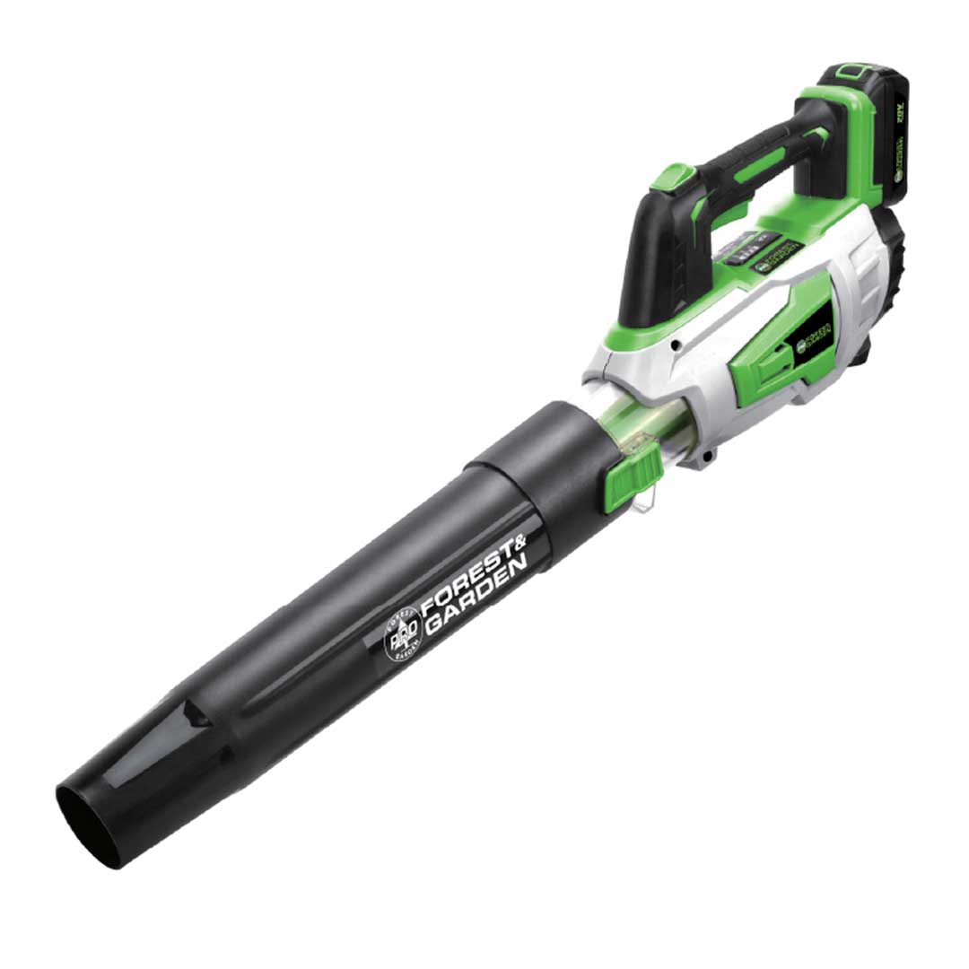SOPLADOR FYG 20V 2 VEL  S940C1