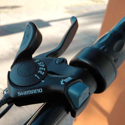 BICICLETA ELECTRICA S-PRO CARROT