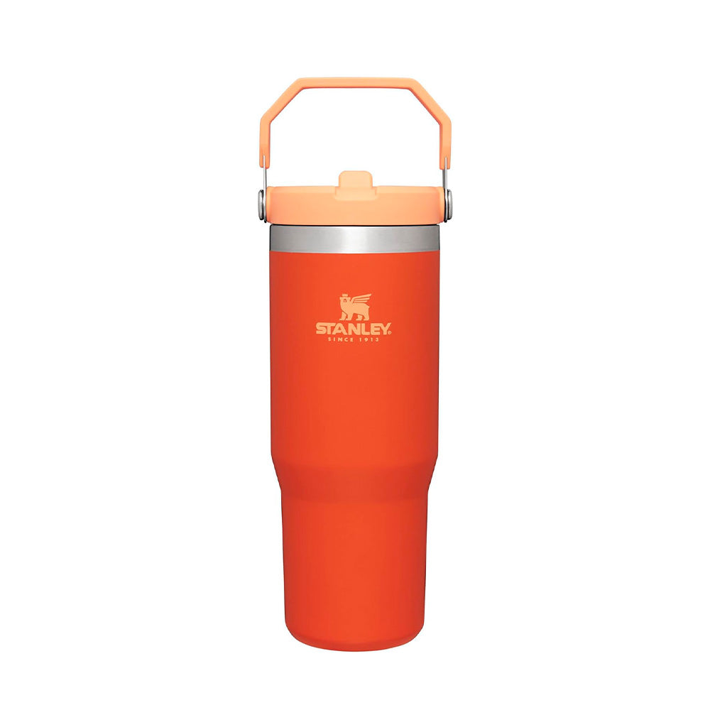 VASO STANLEY FLIP STRAW TUMBLER 20 OZ TIGERLILY