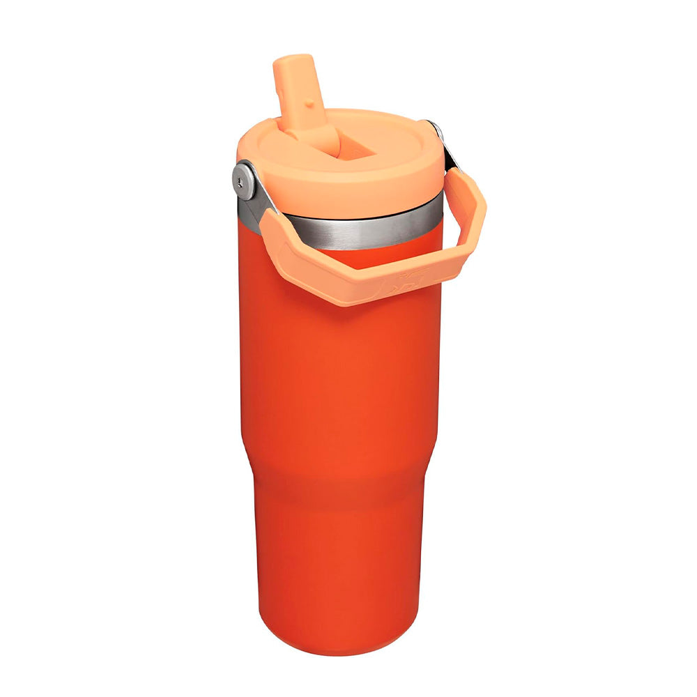 VASO STANLEY FLIP STRAW TUMBLER 20 OZ TIGERLILY