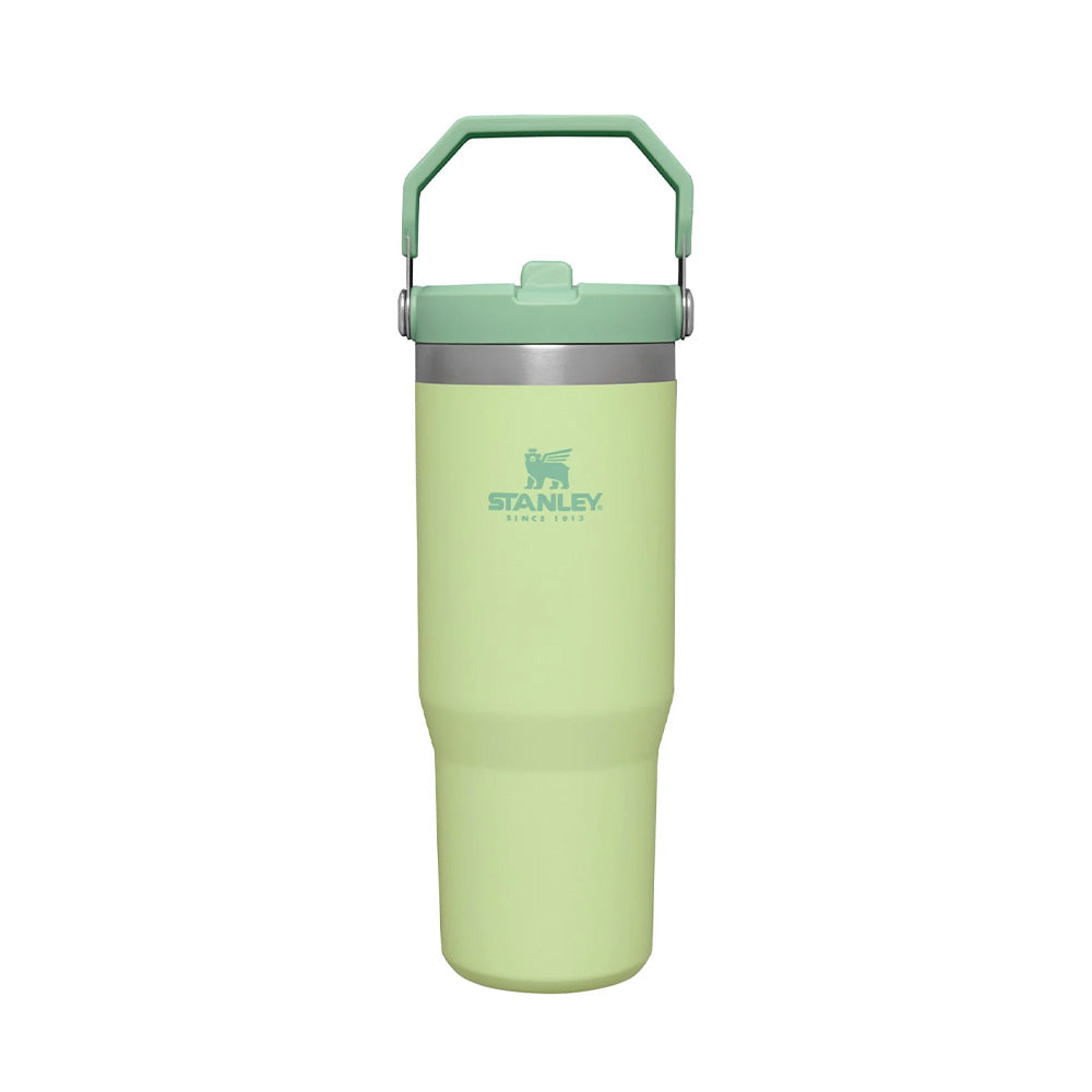 VASO STANLEY FLIP STRAW TUMBLER 20 OZ CITRON