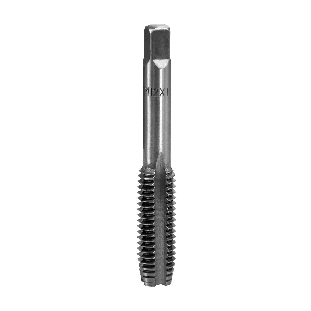 TERRAJA MACHO 8PZ CA2018 LH-5030
