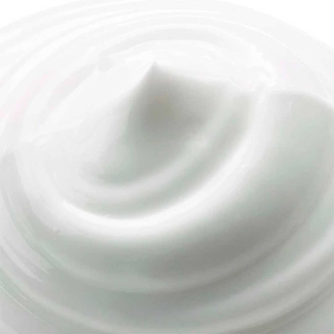 MASCARILLA ELVIVE OLEO EXTRAORDINARIO 300G