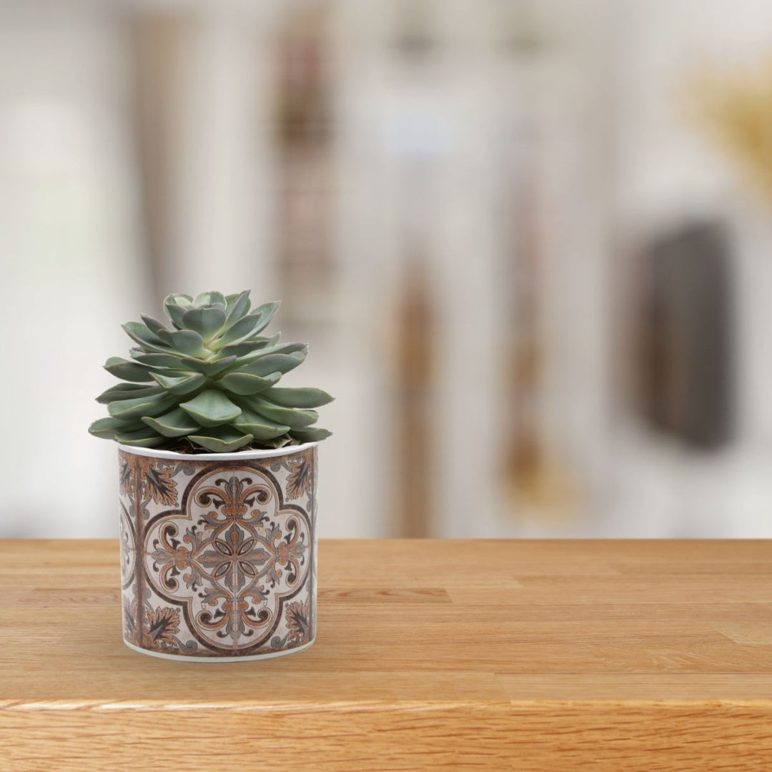 Mini maceta de cerámica estampada 6.5x6.5cm