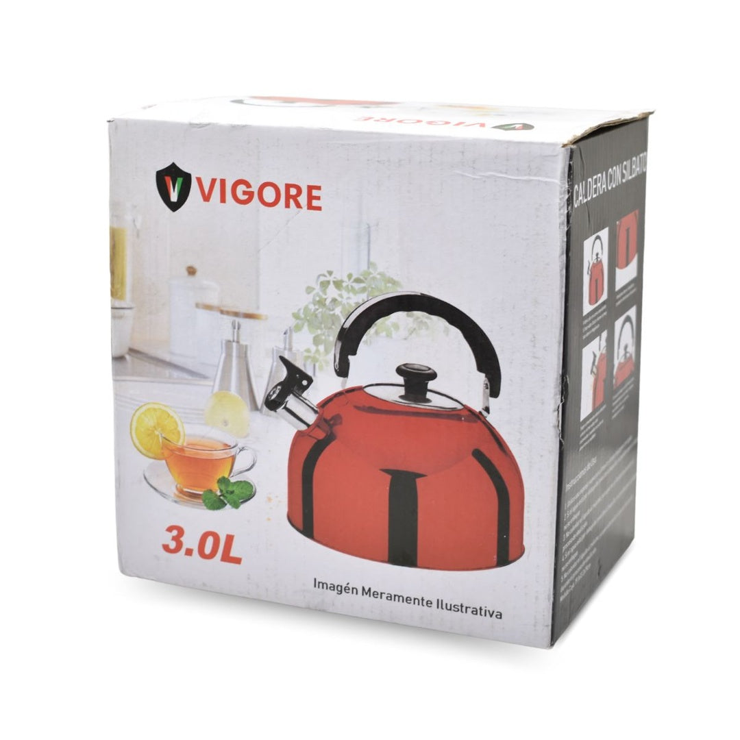 Caldera de acero inoxidable verde 3L Vigore