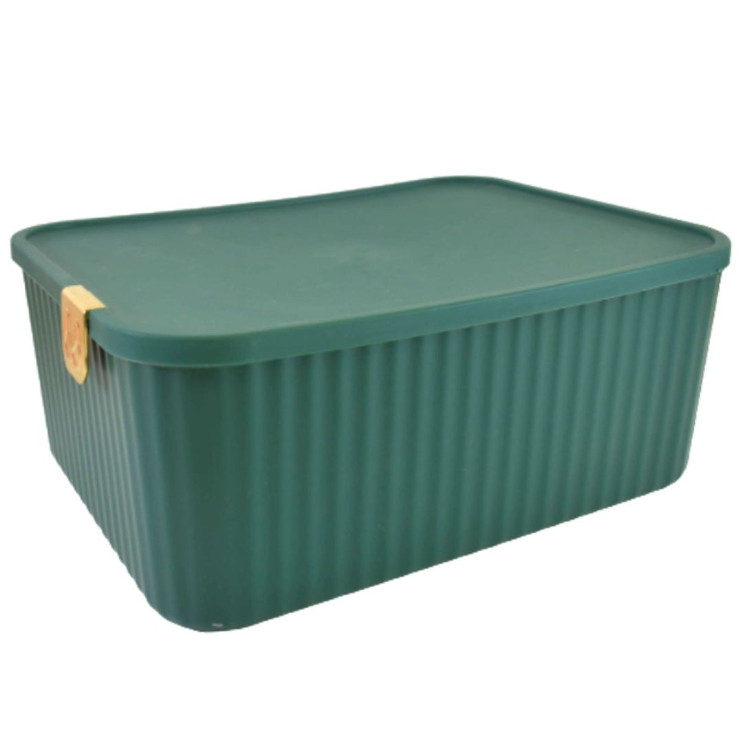 Caja plástica organizadora de ropa interior 30x23x12cm