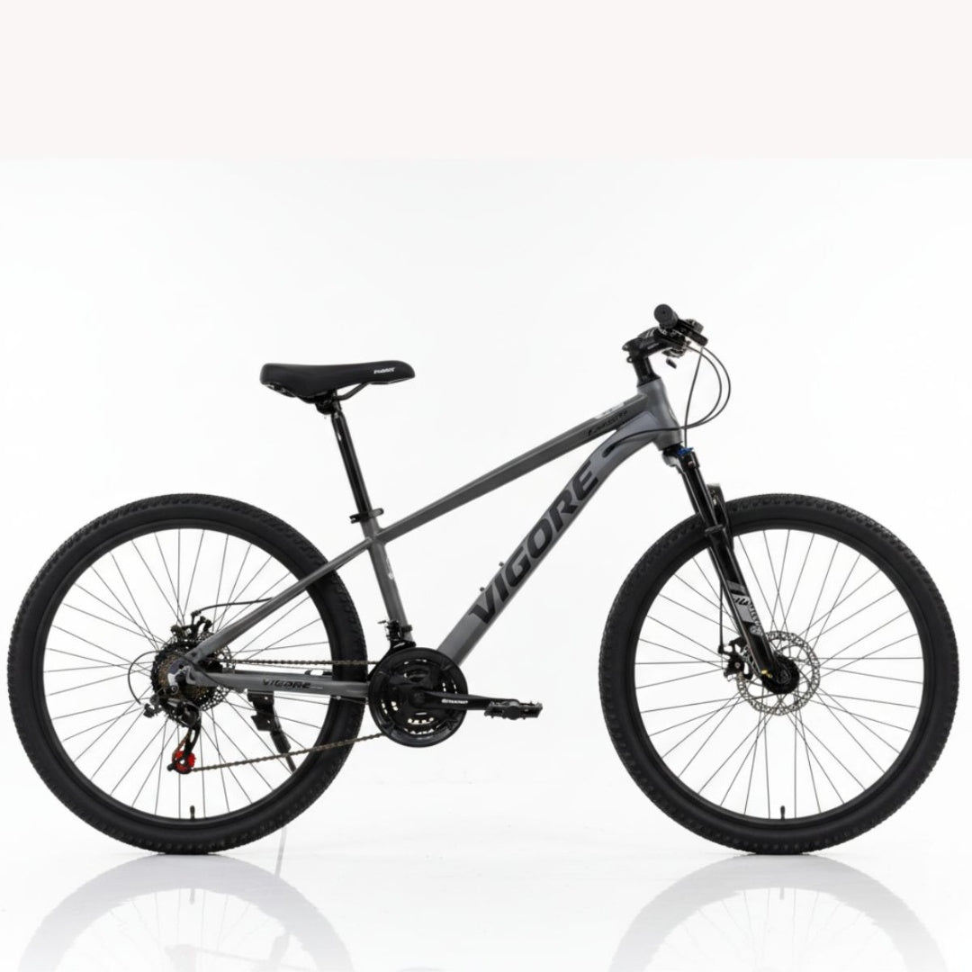 Bicicleta MTB Vigore rodado 26" gris oscuro