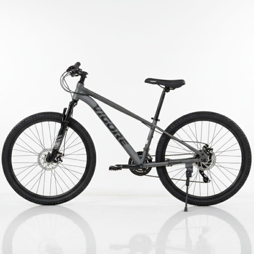 Bicicleta MTB Vigore rodado 26" gris oscuro