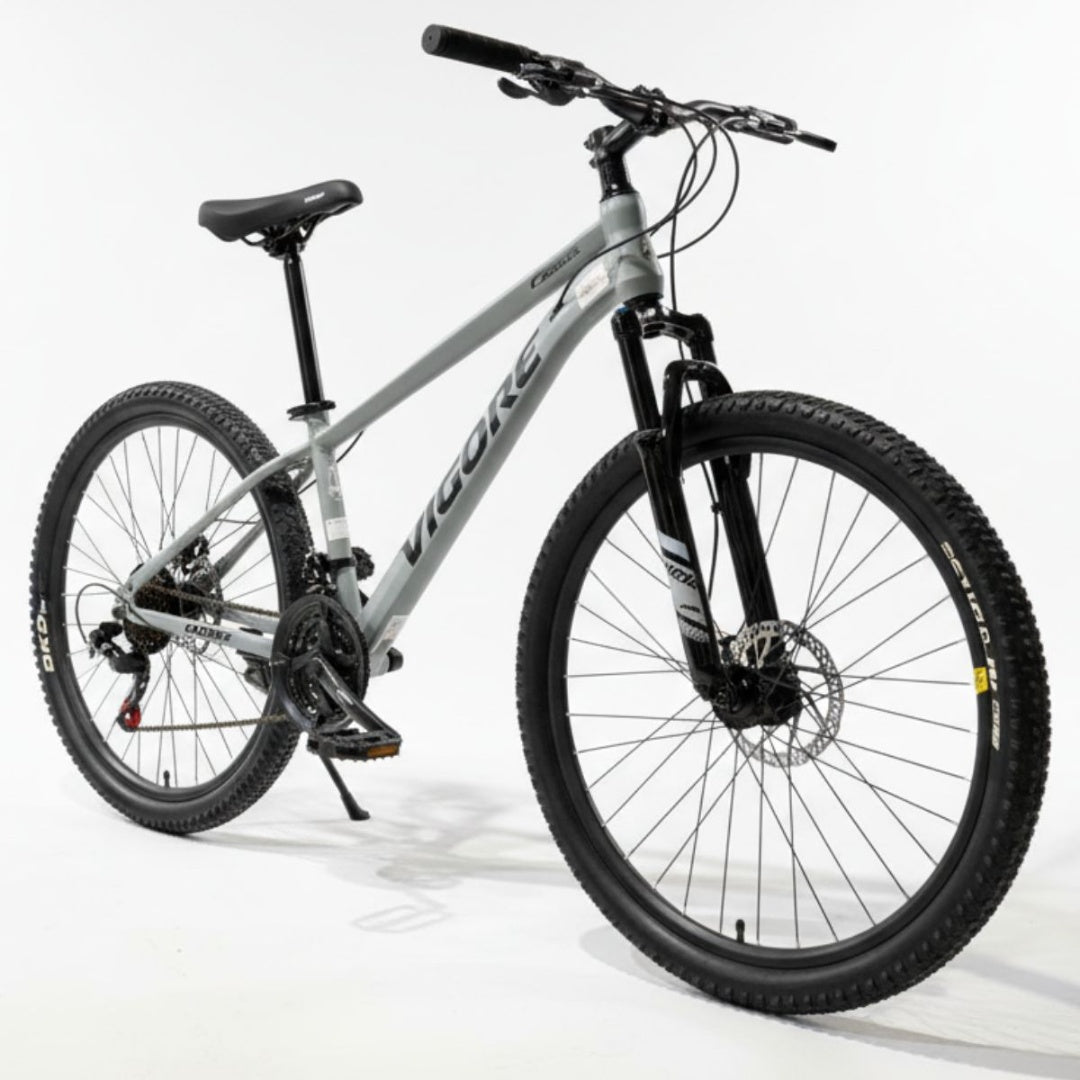Bicicleta MTB Vigore rodado 26" Gris claro