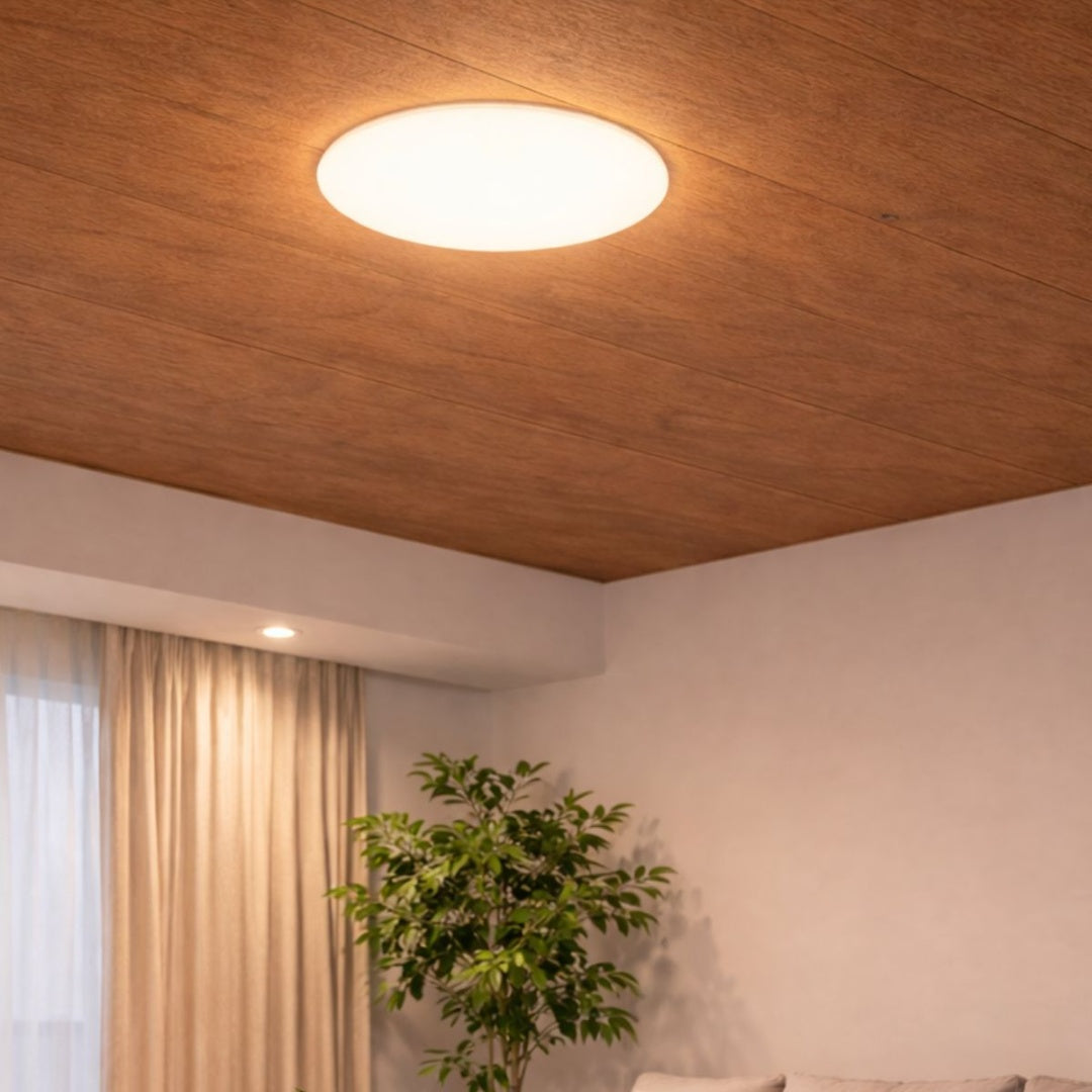 Panel luz LED redondo empotrable 22cm 36W Luz cálida