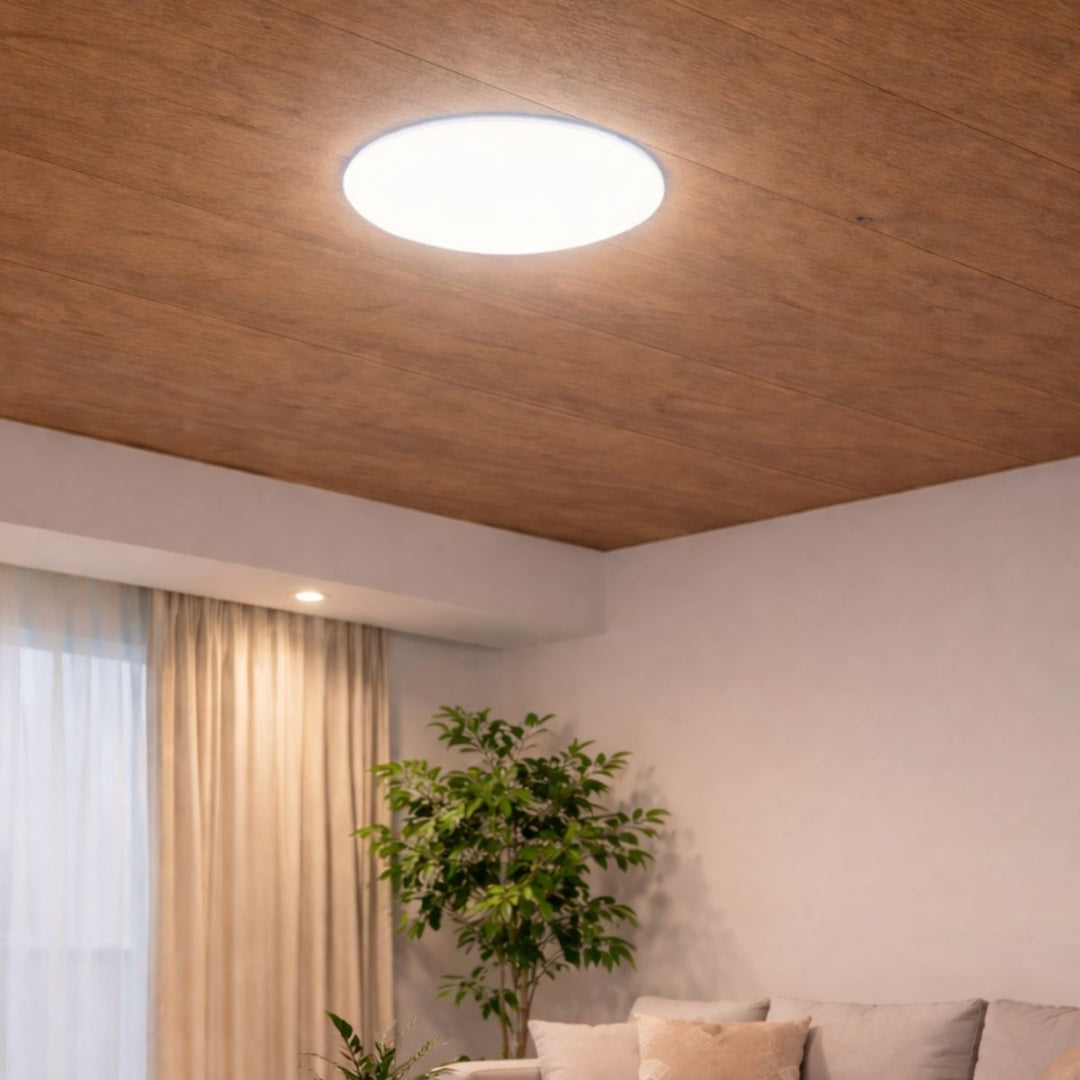 Panel luz LED redondo empotrable 22cm 36W Luz fría