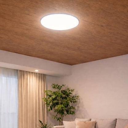 Panel luz LED redondo empotrable 22cm 36W Luz fría