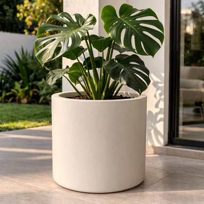 Maceta cilindrica crema 34x34cm.