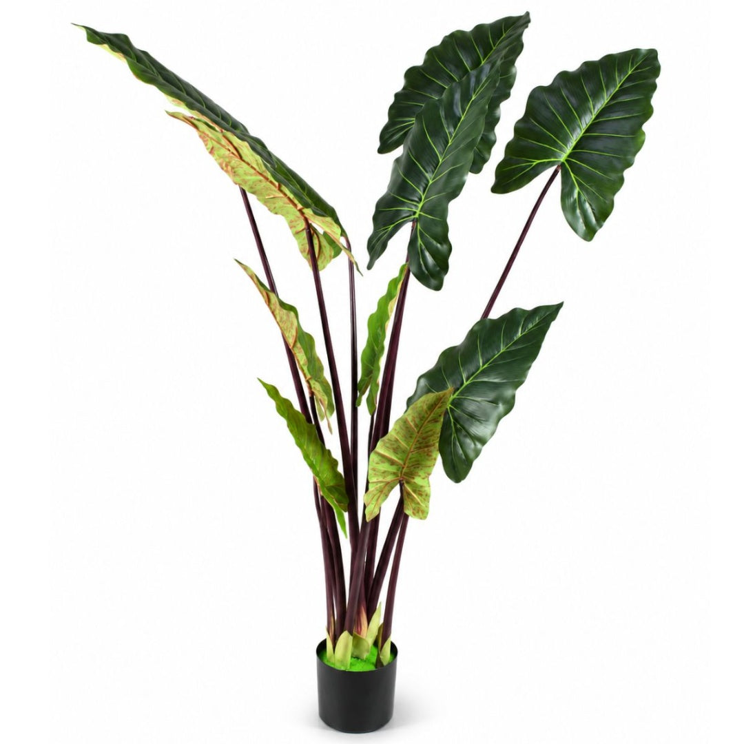 Planta artificial Alocasia decorativa 1.6mts