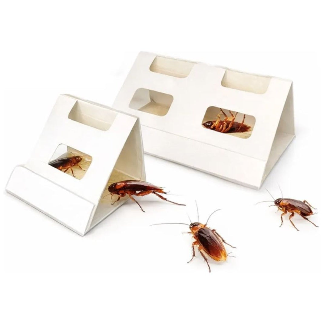 Trampa pegajosa para cucaracha 6 pcs